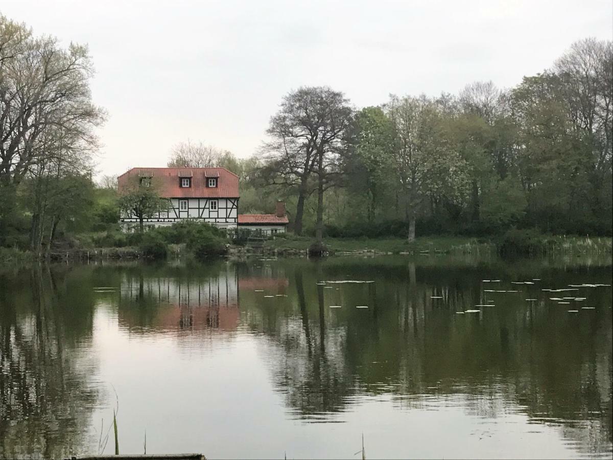 Ferienwohnung Hoppelnase Mit Eigener Sauna Langenstein Luaran gambar